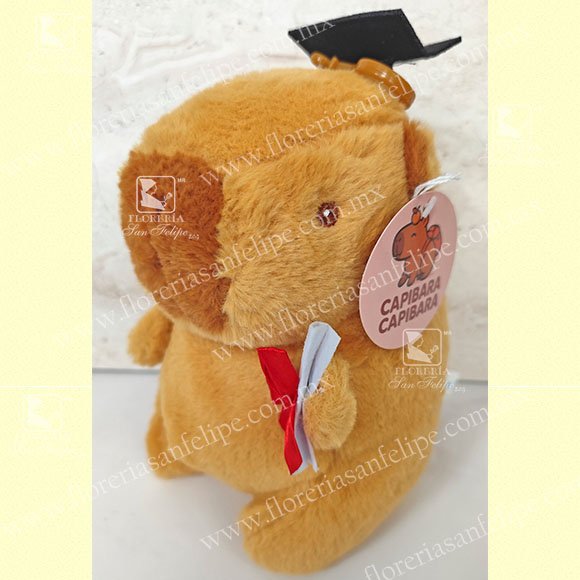 Capibara Con Birrete